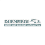 duemmegi